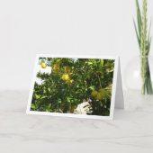Lemon Tree Portrait Karte (Vorderseite)