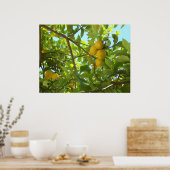 LEMON TREE POSTER (Küche)