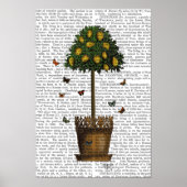 Lemon Tree Poster (Vorne)