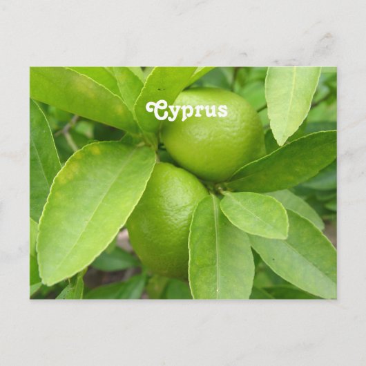 Lemon Tree Postkarte (Vorderseite)