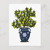 Lemon Tree Postkarte (Vorderseite)