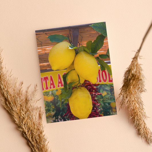 Lemon Vine in Positano Italien Postkarte