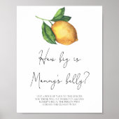 Lemon Wie groß ist das Bauchspiel der Mama Poster (Vorne)