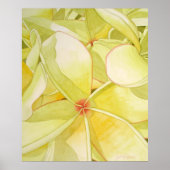 Lemon Yellow Frangipani Poster (Vorne)