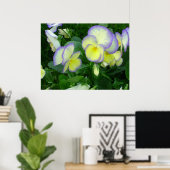 Lemon Yellow Stiefmütterchens Poster (Heimbüro)