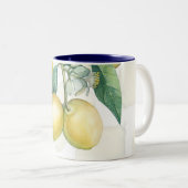 Lemon Zweige Weiß & Gelb Land Rustikaler Chic Zweifarbige Tasse (VorderseiteRechts)