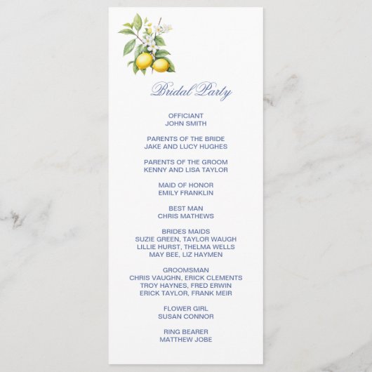 Lemons Double Sided Flat Program Programm (Rückseite)