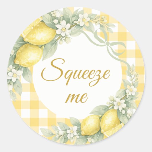 Lemons gingham squeeze me party favor runder aufkleber (Vorderseite)