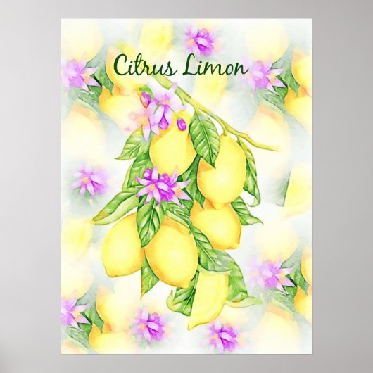 Lemons Watercolor Citrus Limon Frucht Küche Poster (Vorne)