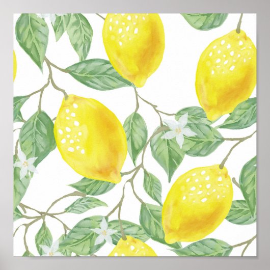 Lemons Yellow Citrus Poster (Vorne)