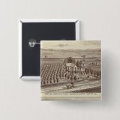 Lemoore, Armona ranches Button (Vorne & Hinten)