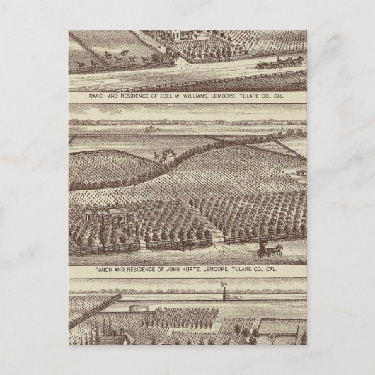 Lemoore, Armona ranches Postkarte (Vorderseite)