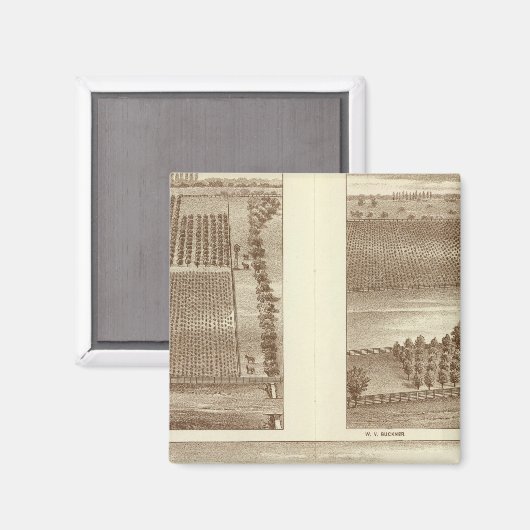 Lemoore Magnet (Vorderseite/Rückseite)