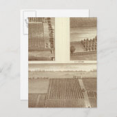 Lemoore Postkarte (Vorne/Hinten)