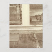 Lemoore Postkarte (Vorderseite)