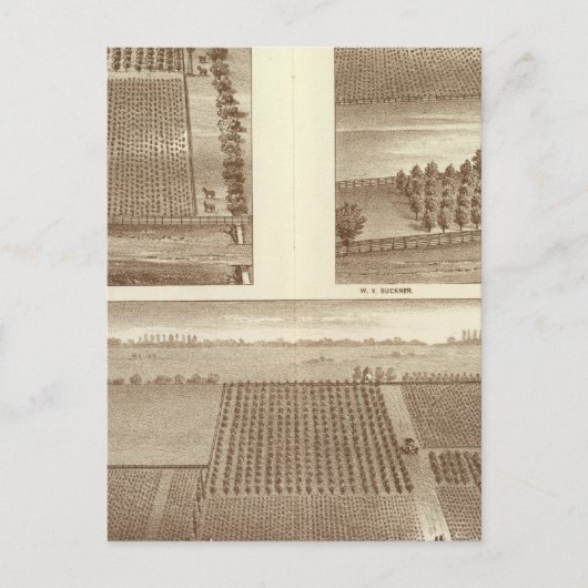 Lemoore Postkarte (Vorderseite)