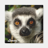 Lemur1 Magnet (Vorne)