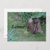 Lemur # 1 postkarte (Vorne/Hinten)