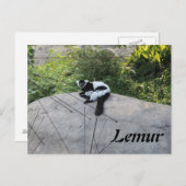 Lemur # 2 postkarte (Vorne/Hinten)