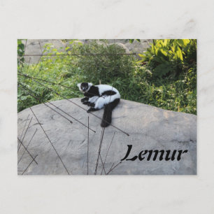 Lemur # 2 postkarte