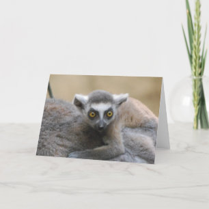 Lemur Baby Grußkarte Karte