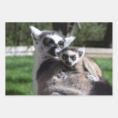 Lemur Catta Family Geschenkpapier Set (Vorderseite 2)