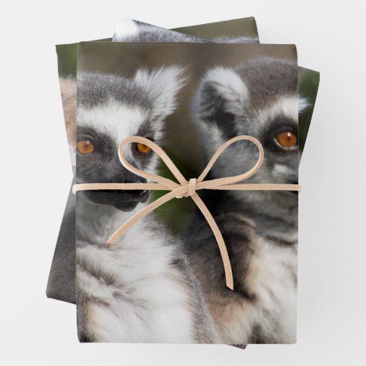 Lemur Catta Family Geschenkpapier Set (Beispiel)