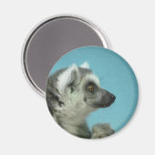 Lemur Classic Magnet (Vorderseite/Rückseite)