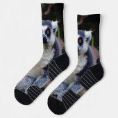 Lemur Crew Socks Socken (Links)