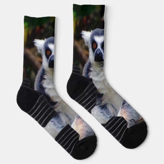 Lemur Crew Socks Socken (Rechts)