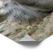 Lemur Cuddles Poster (Ecke)