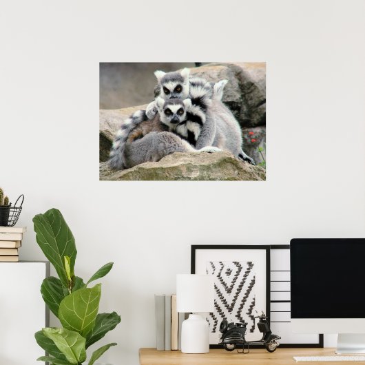 Lemur Cuddles Poster (Heimbüro)