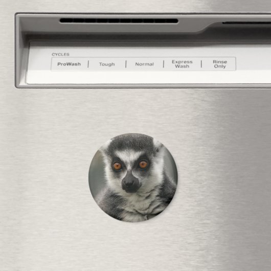 Lemur Face Magnet (In Situ (Geschirrspüler))