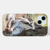 Lemur - Fall für das Telefon Case-Mate iPhone Hülle (Rückseite (Horizontal))