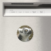 Lemur Foto Magnet (In Situ (Geschirrspüler))