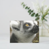 Lemur Foto Postcard Postkarte (Stehend Vorderseite)