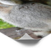 Lemur Foto Print Poster (Ecke)