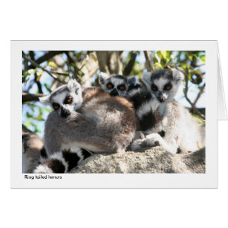 Lemur-Geschenk-Karte
