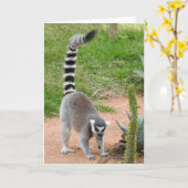 Lemur Grußkarte Karte (Gelbe Blume)