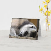 Lemur Grußkarte Karte (Gelbe Blume)