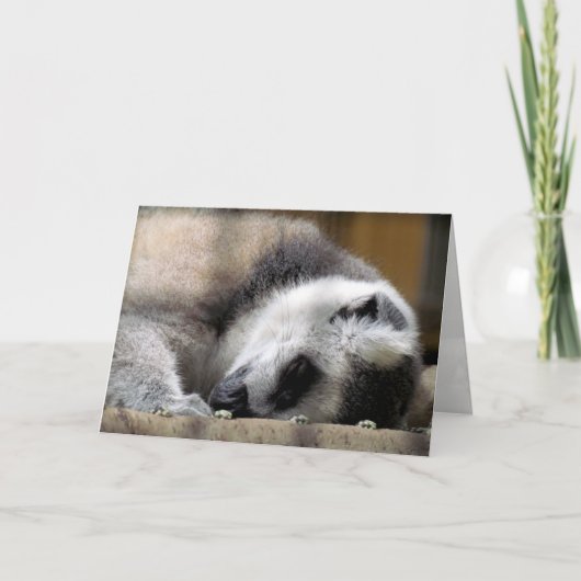 Lemur Grußkarte Karte (Vorderseite)