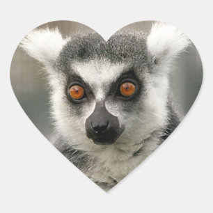 Lemur Herz-Aufkleber