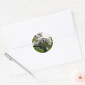 Lemur im Freien Runder Aufkleber (Umschlag)