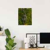 Lemur in Bloom - Umrandung-Explorer Poster (Heimbüro)