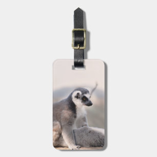 Lemur in Madagaskar Gepäckanhänger