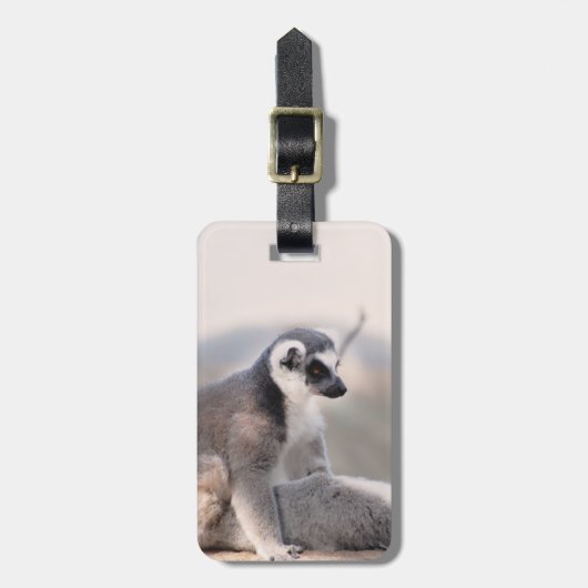 Lemur in Madagaskar Gepäckanhänger (Vorderseite vertikal)