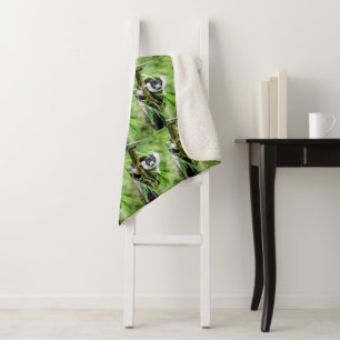 Lemur Jahrestag Geburtstagspartei Destiny's Destin Sherpadecke