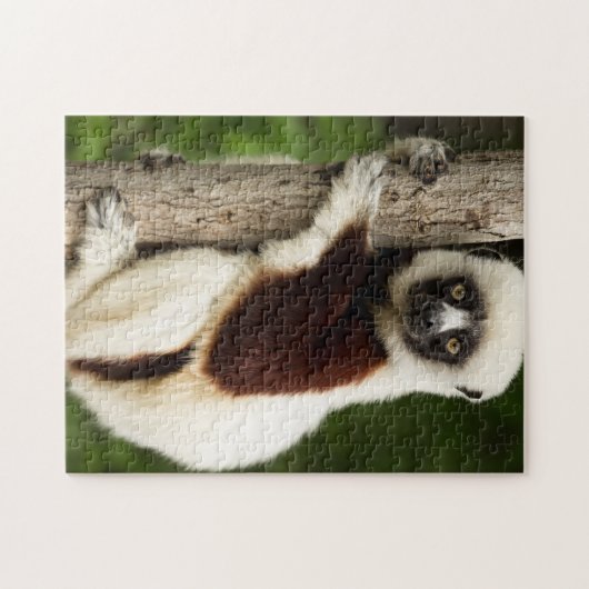 LEMUR JIGSAW PUZZZLE PUZZLE (Horizontal)