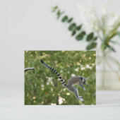 Lemur Jump Postcard Postkarte (Stehend Vorderseite)