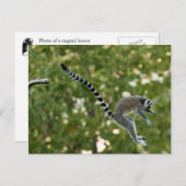 Lemur Jump Postcard Postkarte (Vorne/Hinten)